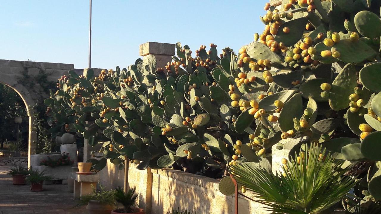 Tenuta Santa Giovanna Sanarica エクステリア 写真