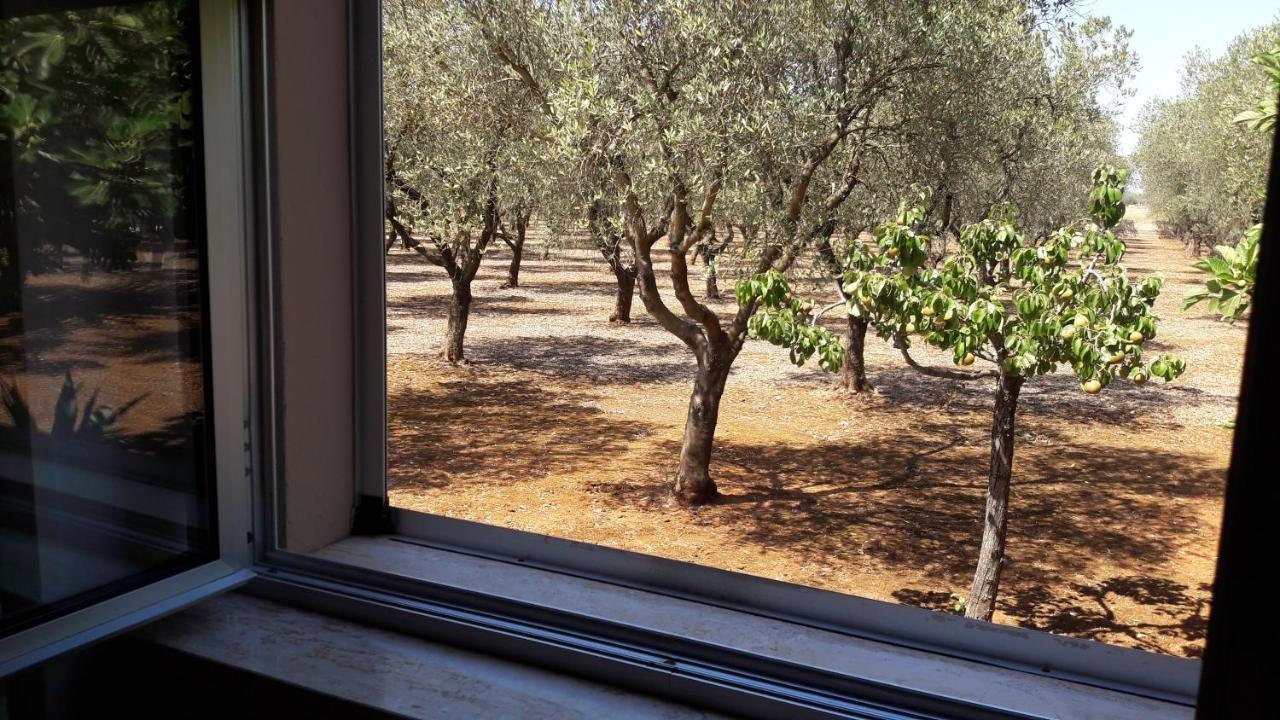 Tenuta Santa Giovanna Sanarica エクステリア 写真